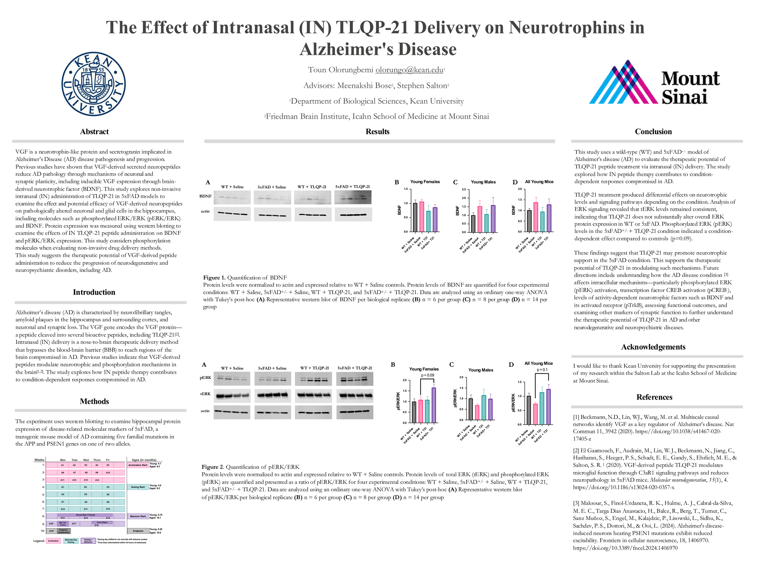 Omotounyosi Desiree Olorungbemi Poster Presentation