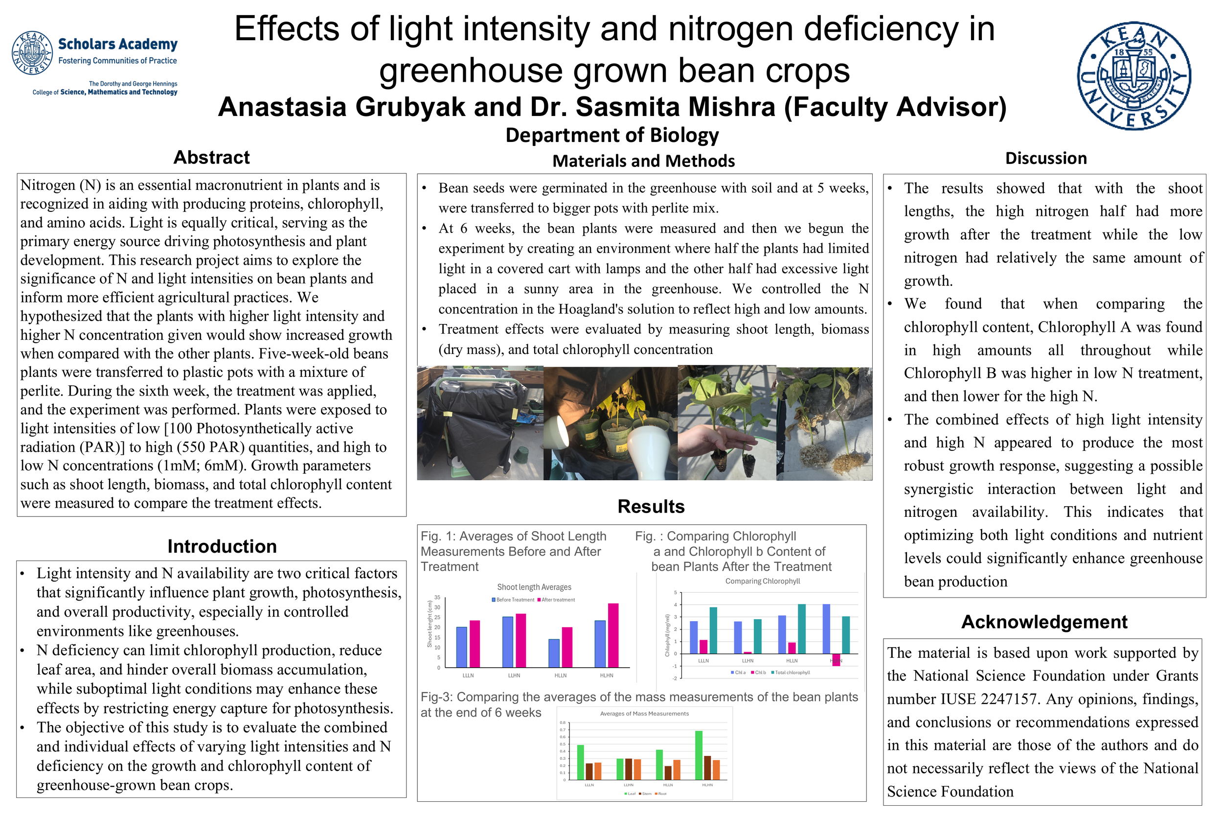 Anastasia Grubyak Poster Presentation