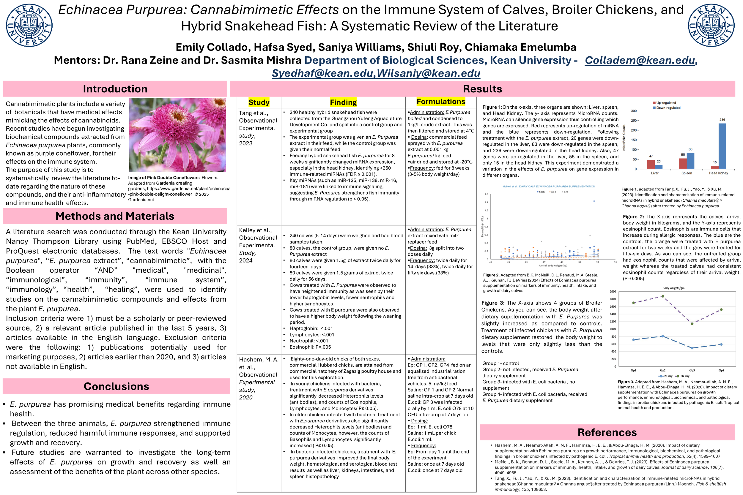 Hafsa Syed Poster Presentation
