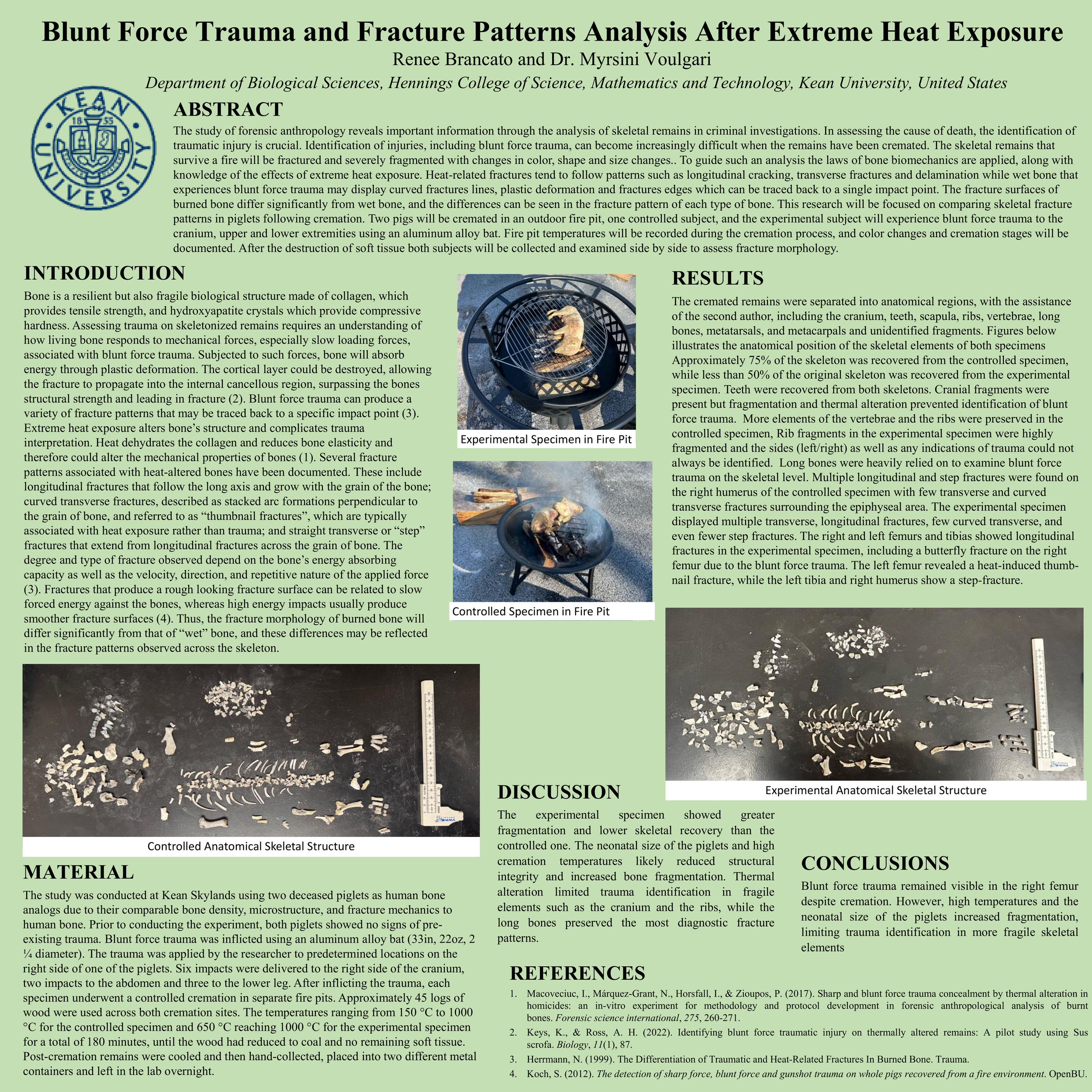 Renee Brancato Poster Presentation