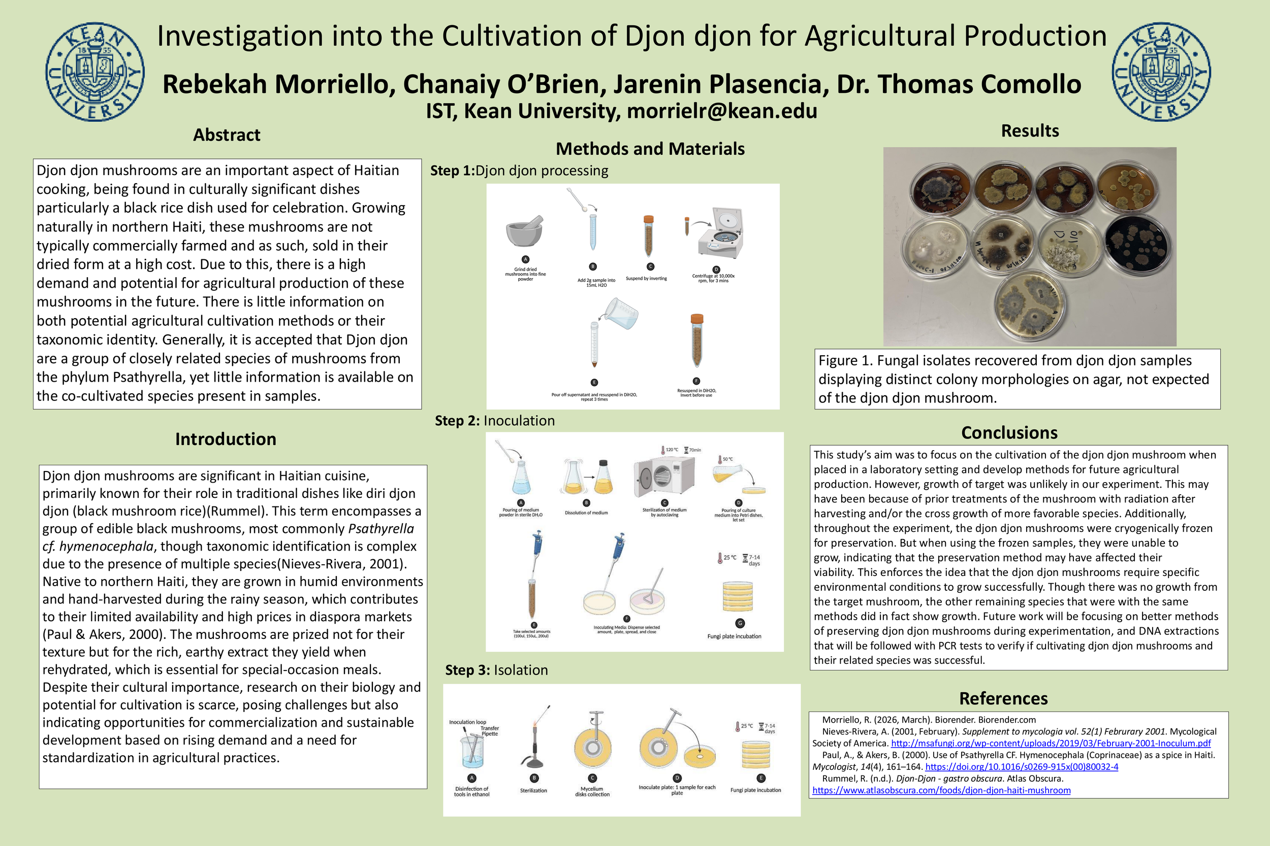 Rebekah Morriello Poster Presentation