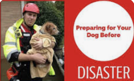 Disaster Preparedness for Dog Owners: Keeping Pets Safe When It Matters Most (Copy)
