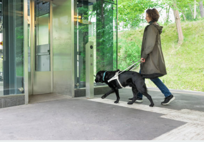 Guide Dogs: Fascinating Facts About These Life-Changing Companions