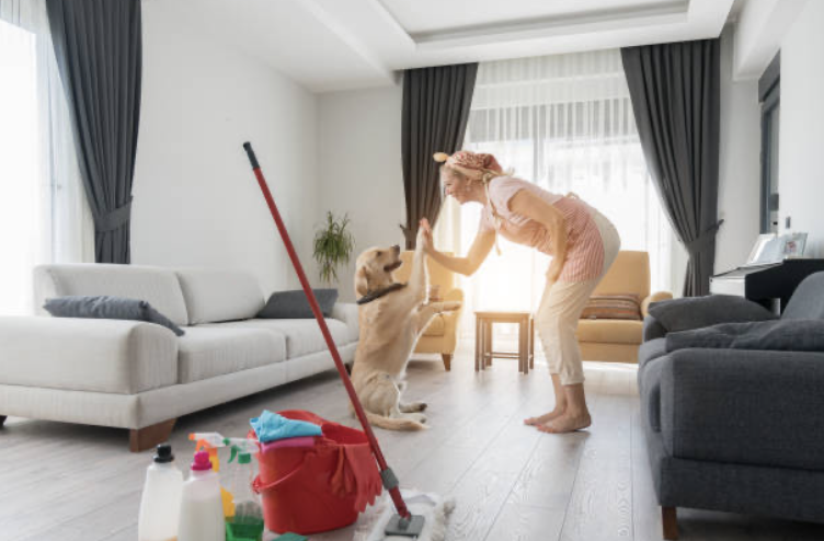 Cleaning Doggie Stains &amp; Odors: A Pet Owner’s Guide