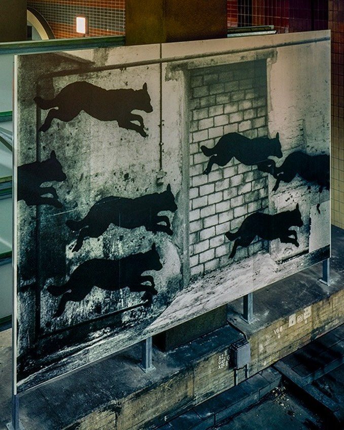 Vor &uuml;ber 40 Jahren startete das Programm &bdquo;Kunst im &ouml;ffentlichen Raum&ldquo; der Hamburger Kulturbeh&ouml;rde @bkm_hh . Das erste Gro&szlig;projekt, &bdquo;Halle 6&ldquo;, fand im Sommer 1982 als Skulpturenausstellung in einer riesigen