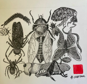 insects .png