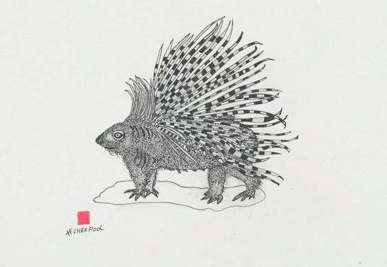 porcupine