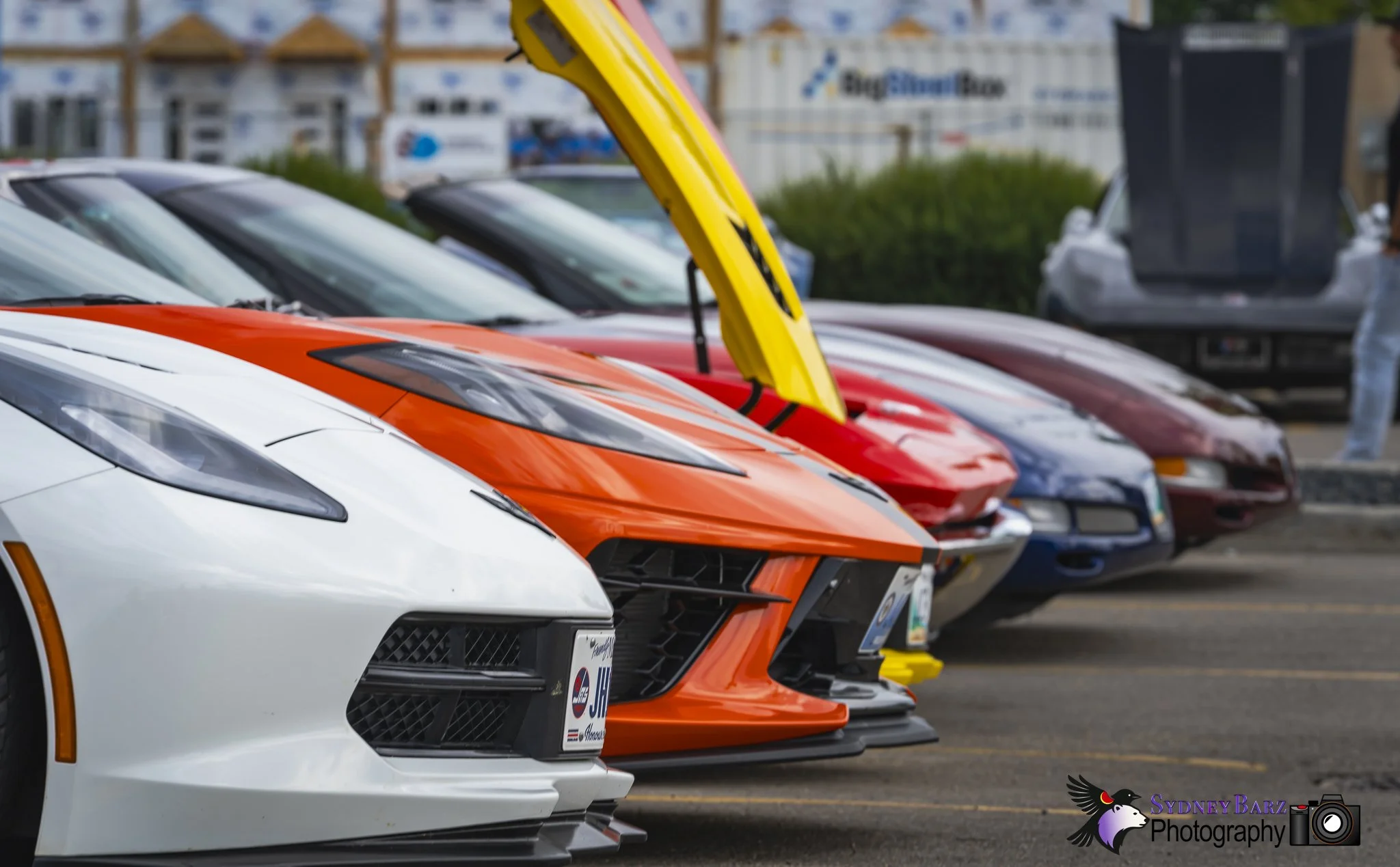 _A7R6920.jpg