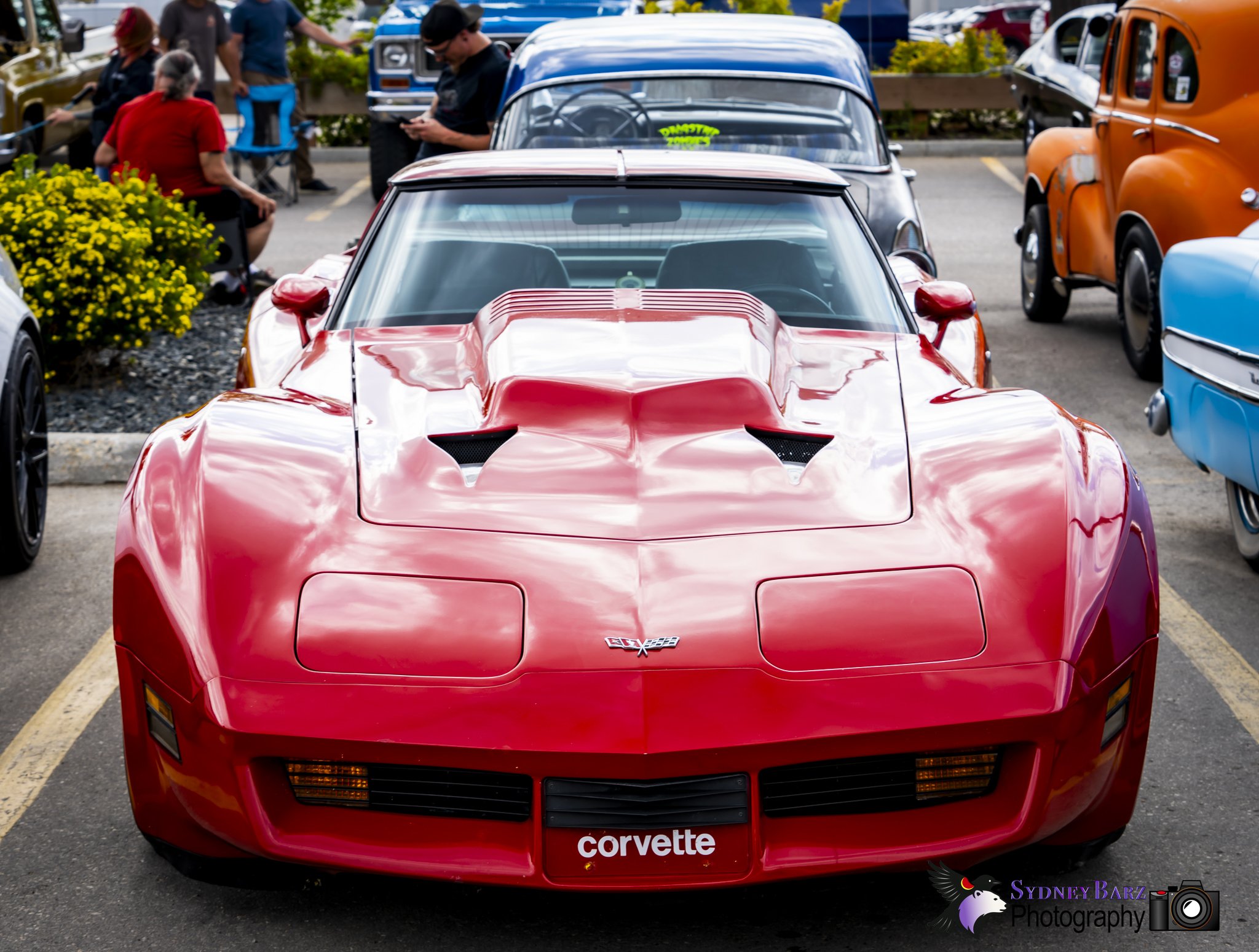 _A7R6964.jpg