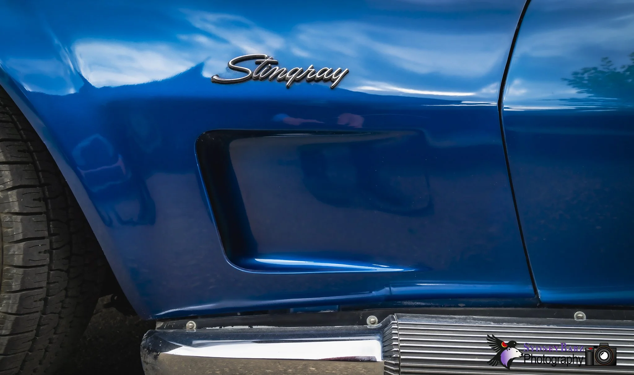 _A7R6883.jpg