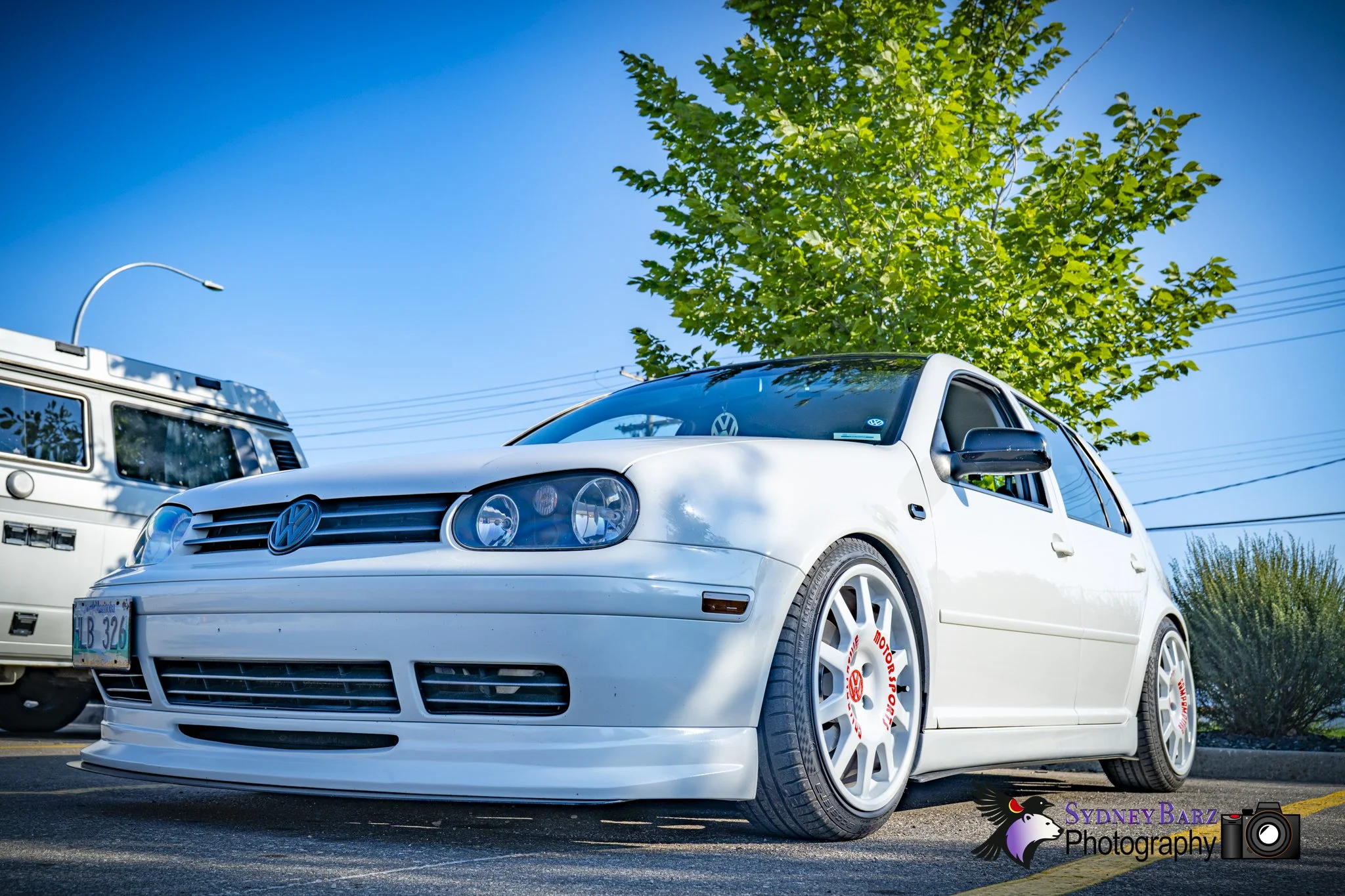_A7R3700.jpg