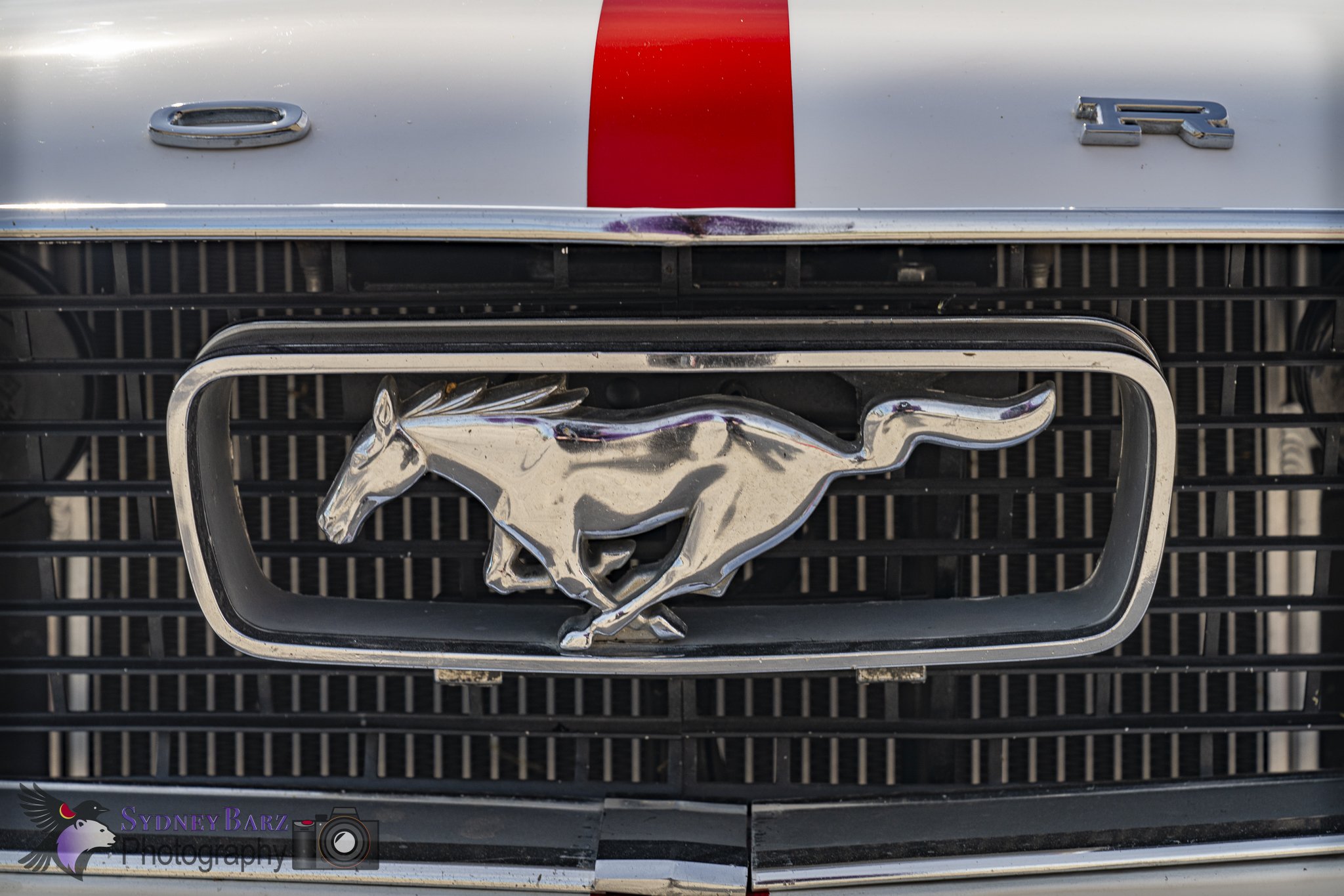 SHRWD Jun 15-32.jpg