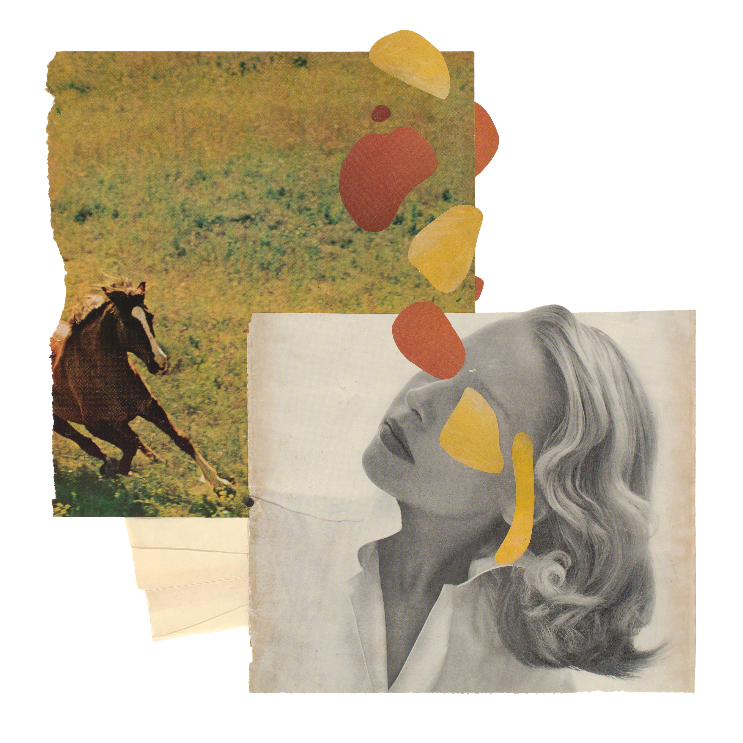 She is Still Becoming_16x16_PRINT.png