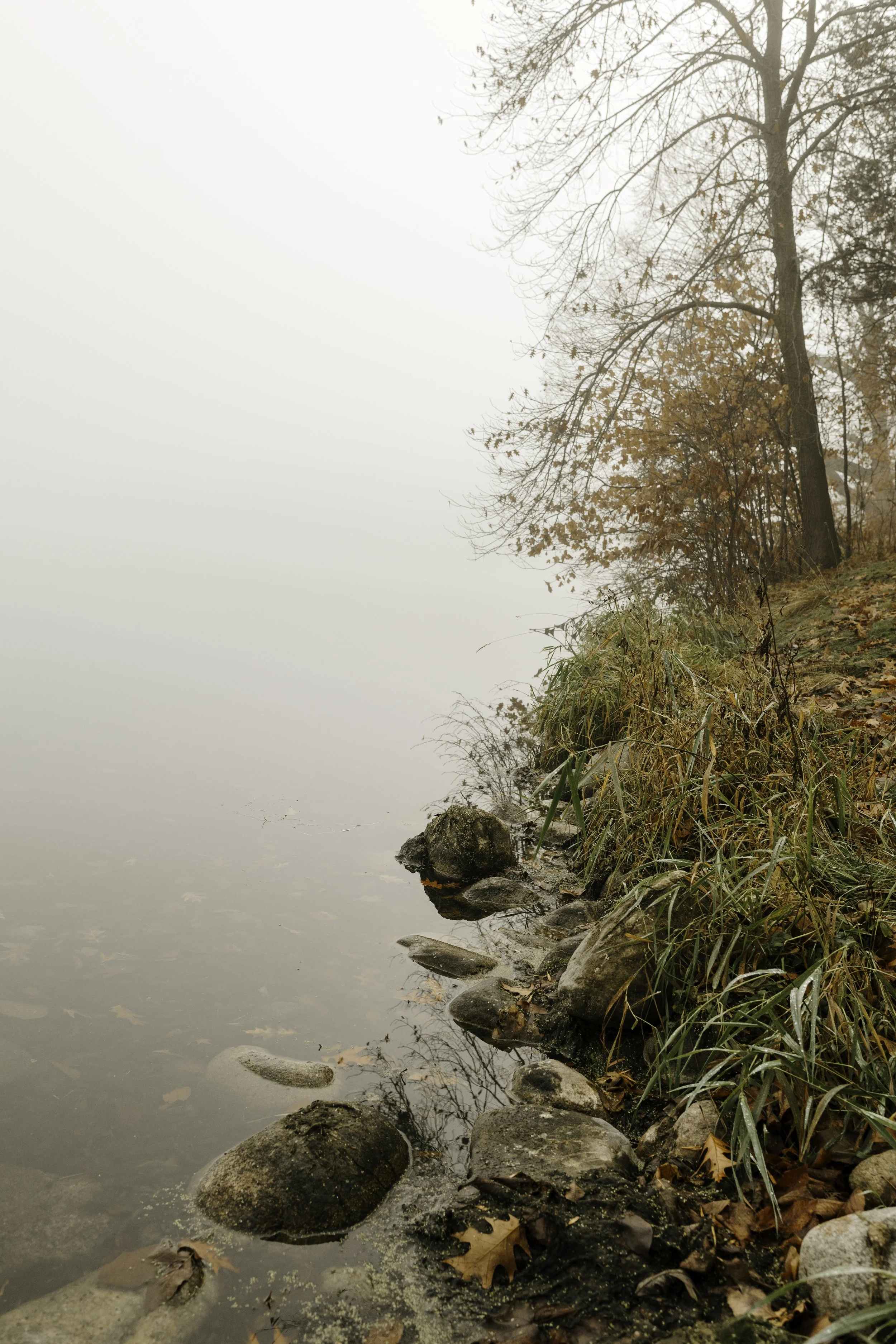 Foggy lakeside scene with a rocky shore and autumn trees with orange and brown leaves.