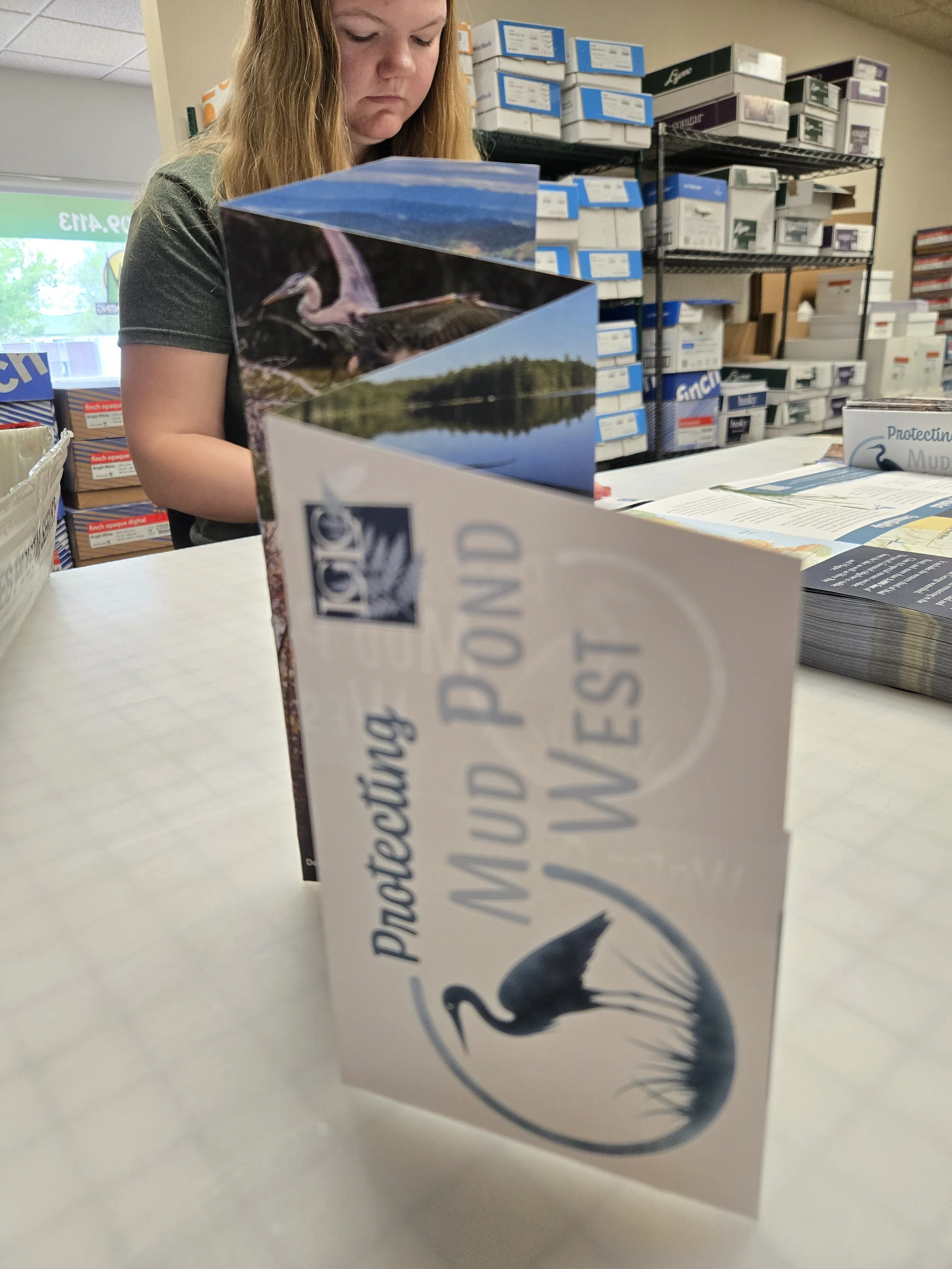 From Mail Merge to Mailbox: Printing the Mud Pond West Campaign