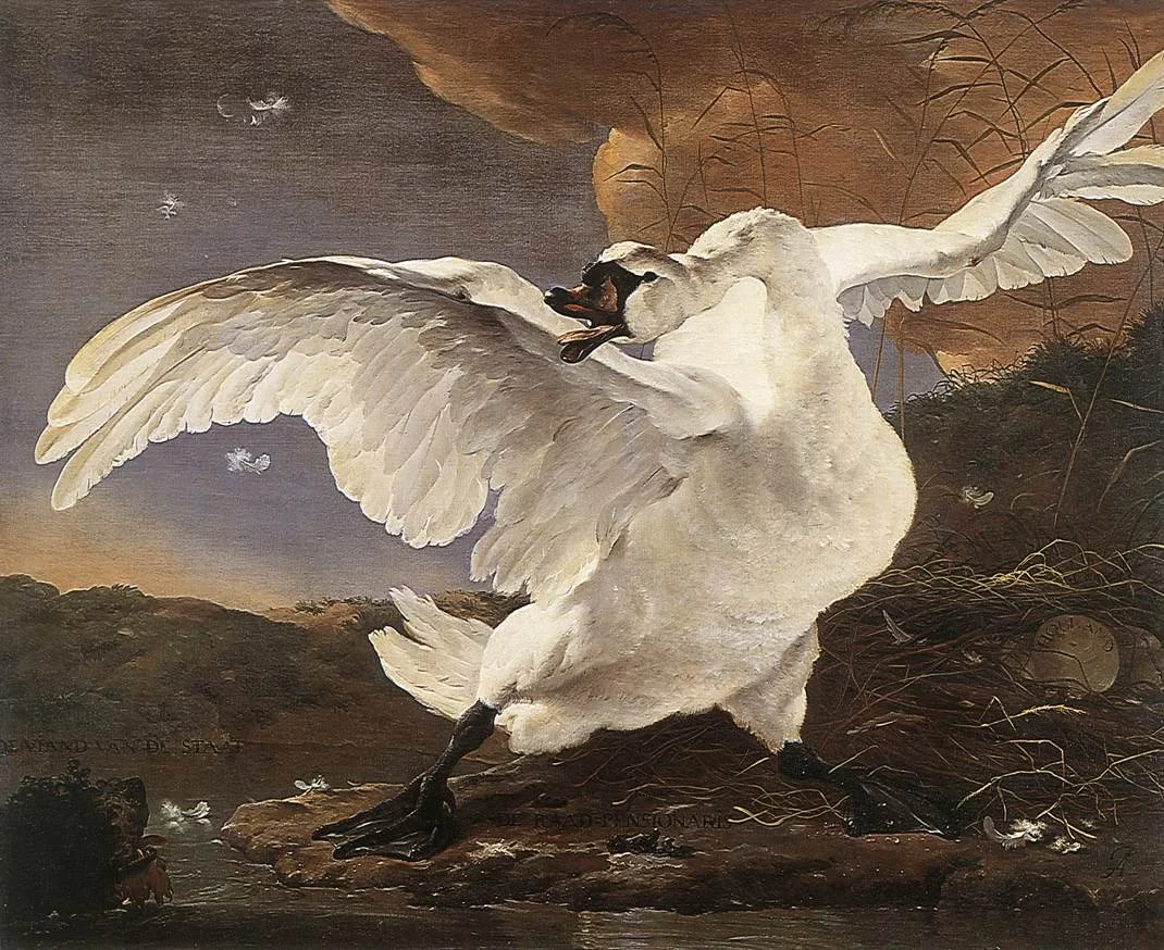 A painting of a swan with its wings spread and a duck in its beak, standing on a rock near water with a dark sky in the background.