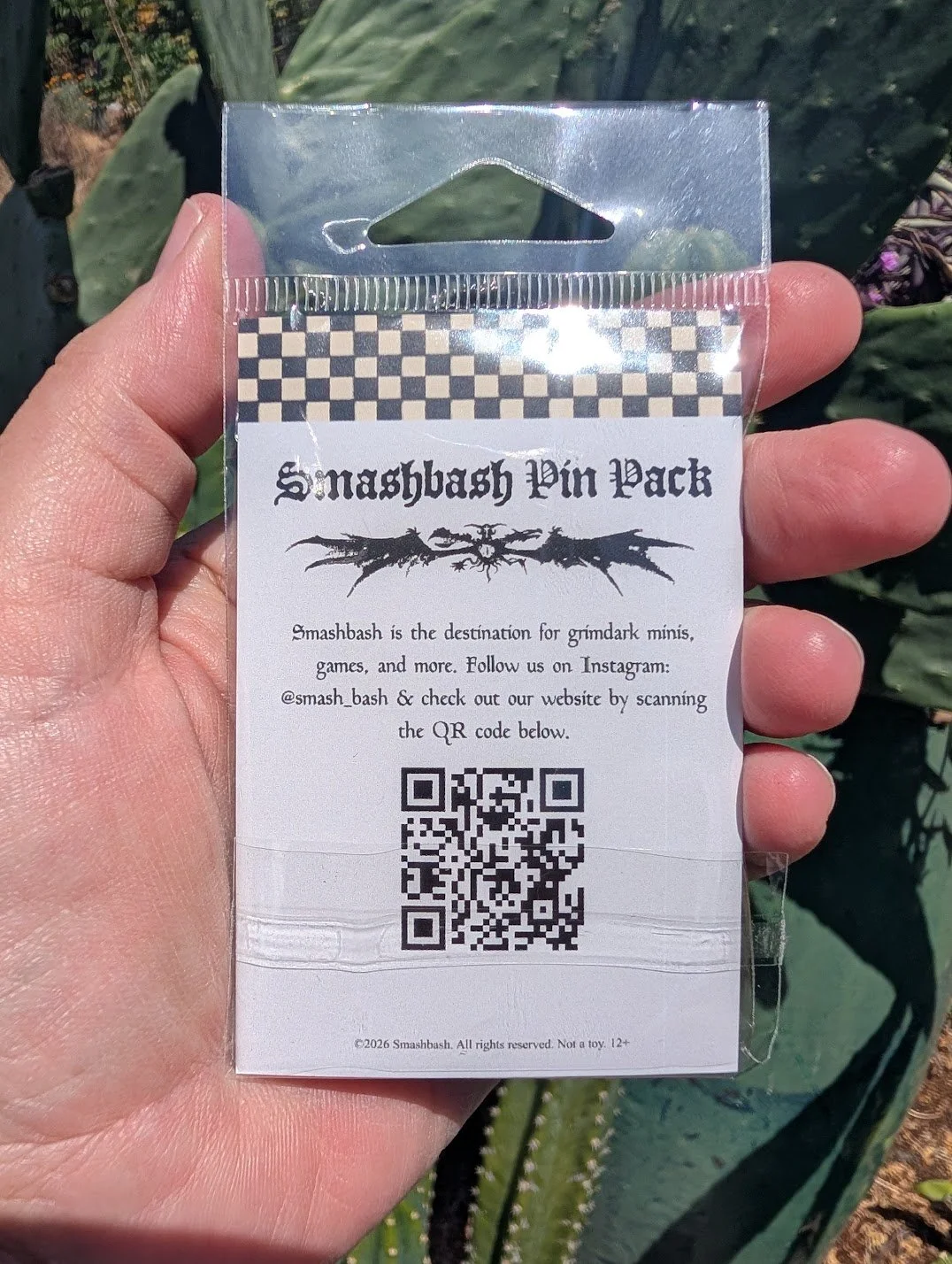 PXL_20260810_210440375.jpg