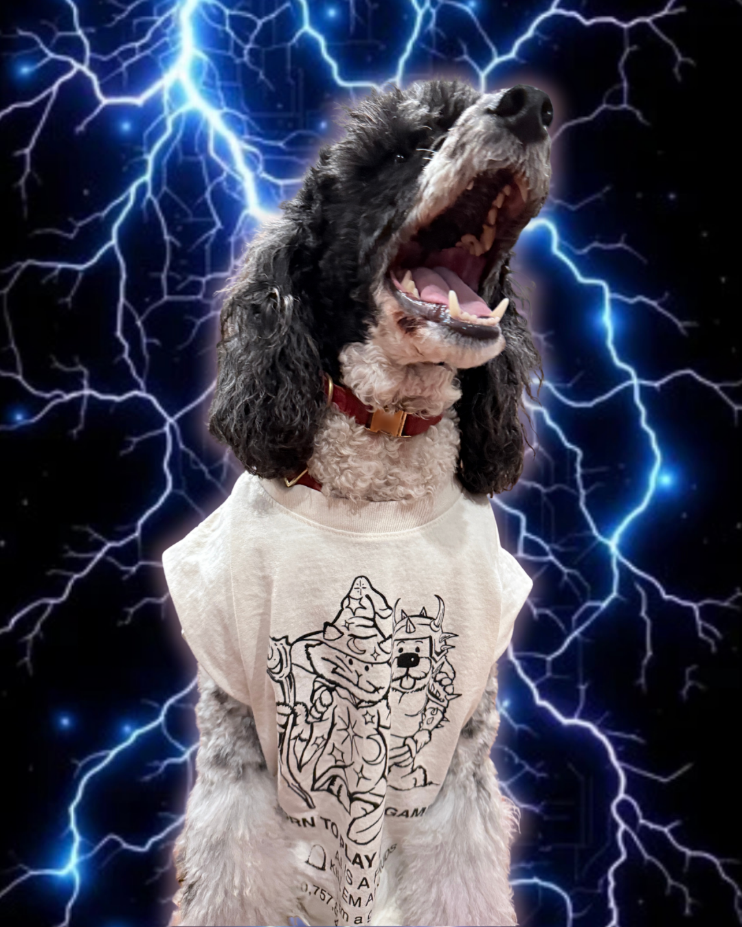 356201D0-4EF6-48C1-9616-02EBC65A652F.png