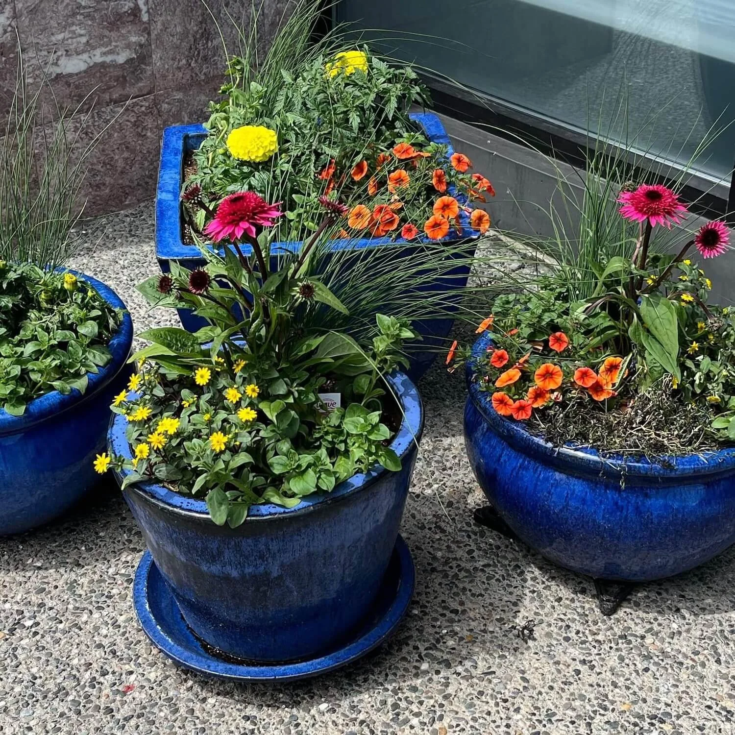 Flower pots outside Klinik