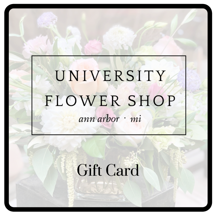 Order Fresh Flowers & Indoor Plants University Flower Shop