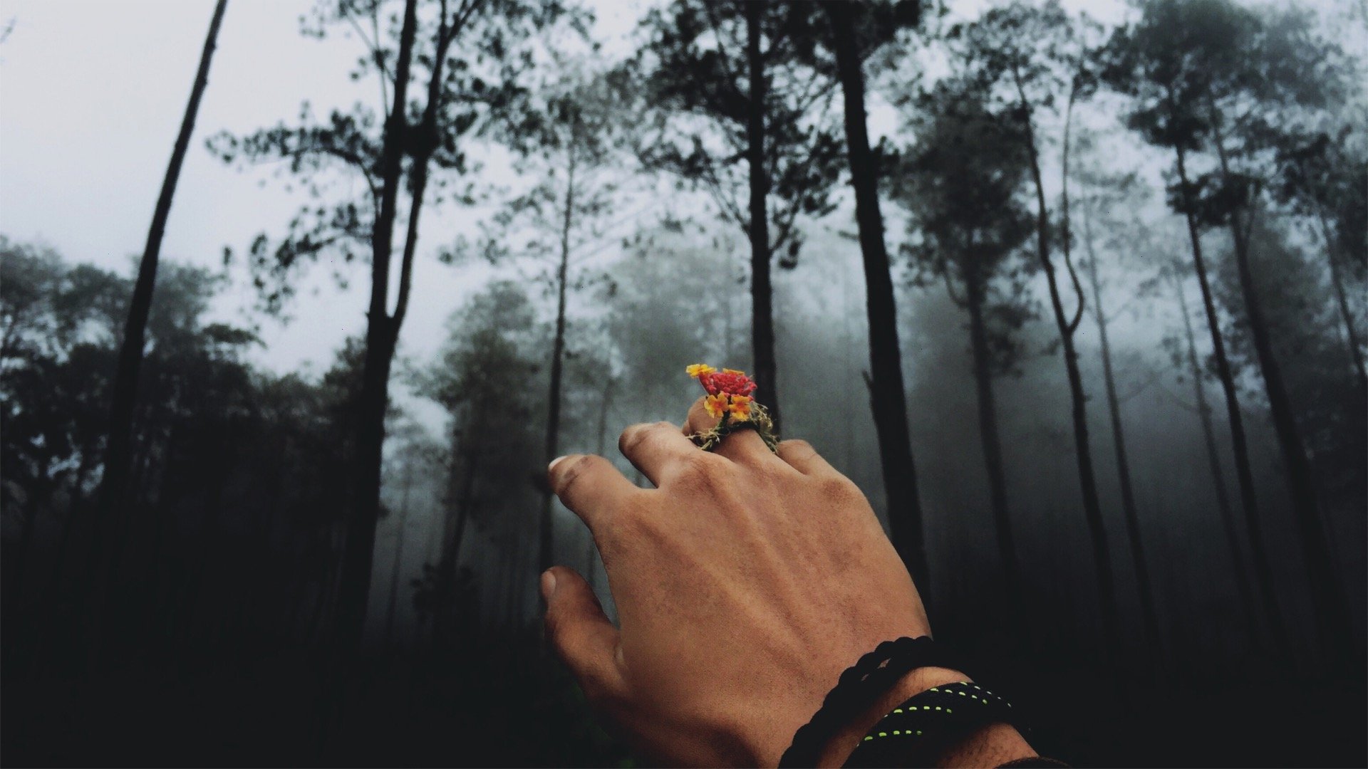 Healing a broken Heart I Healing the Wound of Separation I Healing Grief and Loss with your Beloved