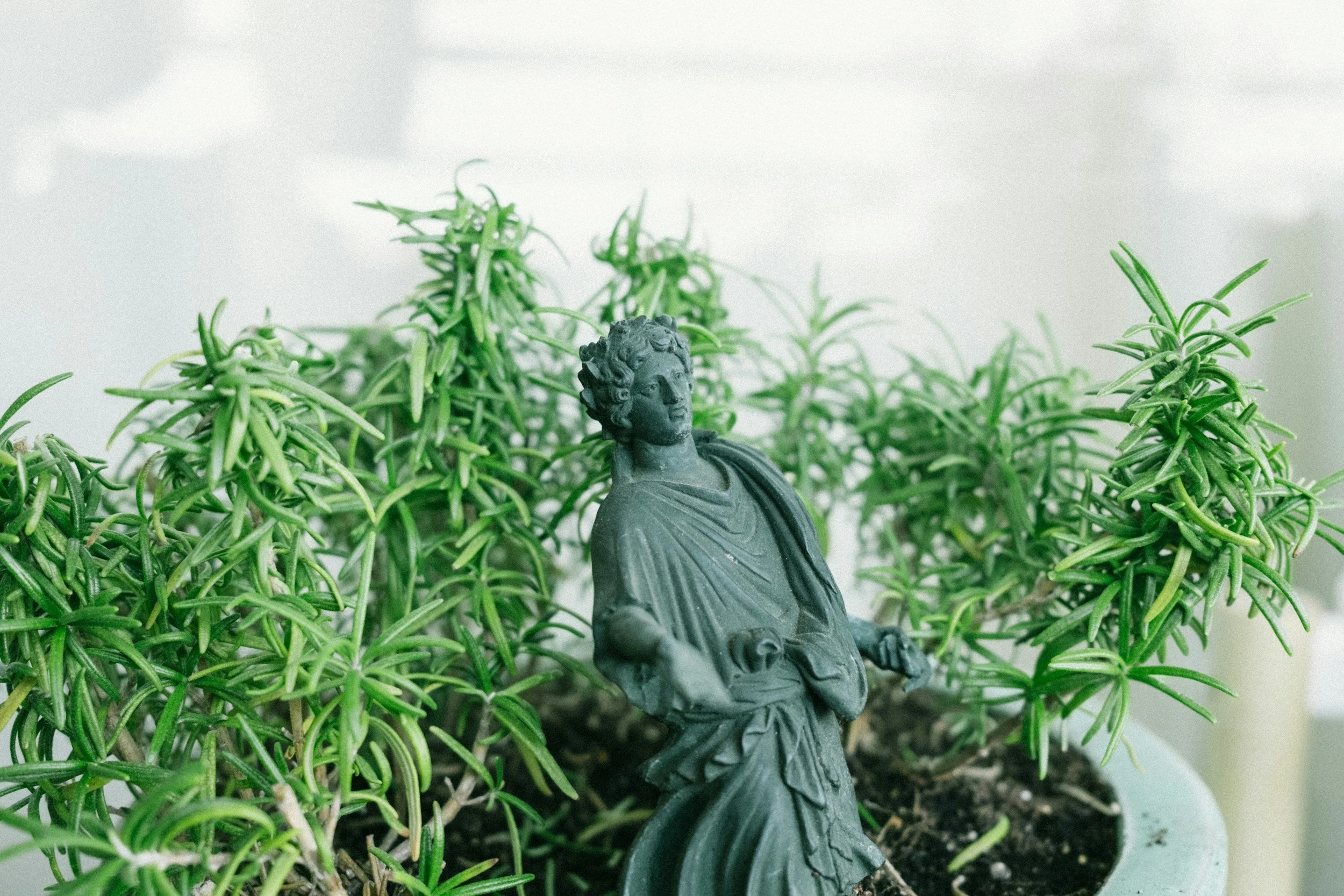 New marijuana laws coming in 2026-2027