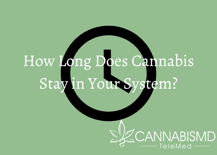 How Long Does Cannabis Stay in Your System? — CannabisMD TeleMed Virginia Medical Marijuana Card