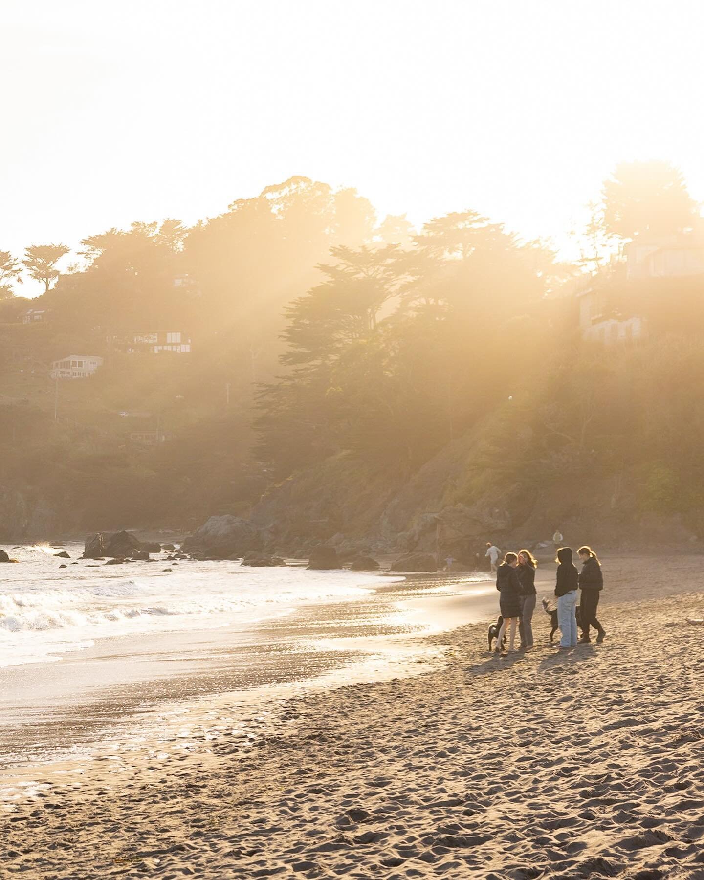I will be taking the next Families in the Wild to Muir beach for a bonfire on April 28. Join me for a relaxing moment at my favorite beach while I take beautiful photos of your family. I have only 2 spots left!
.
.
.
.
#familyphotography #familyphoto