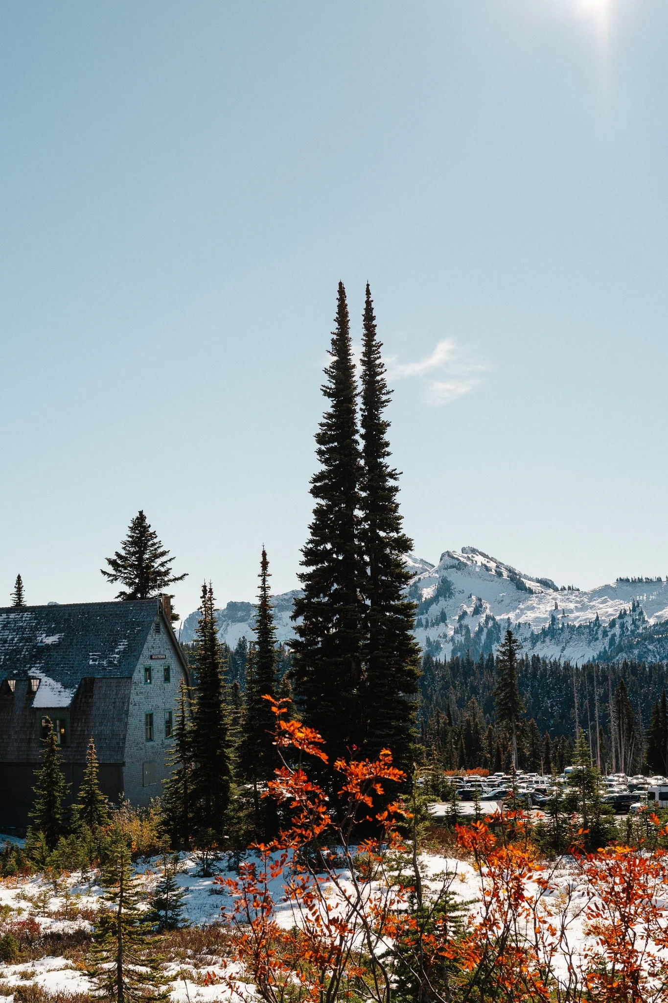Mount Rainier: Fall Gold