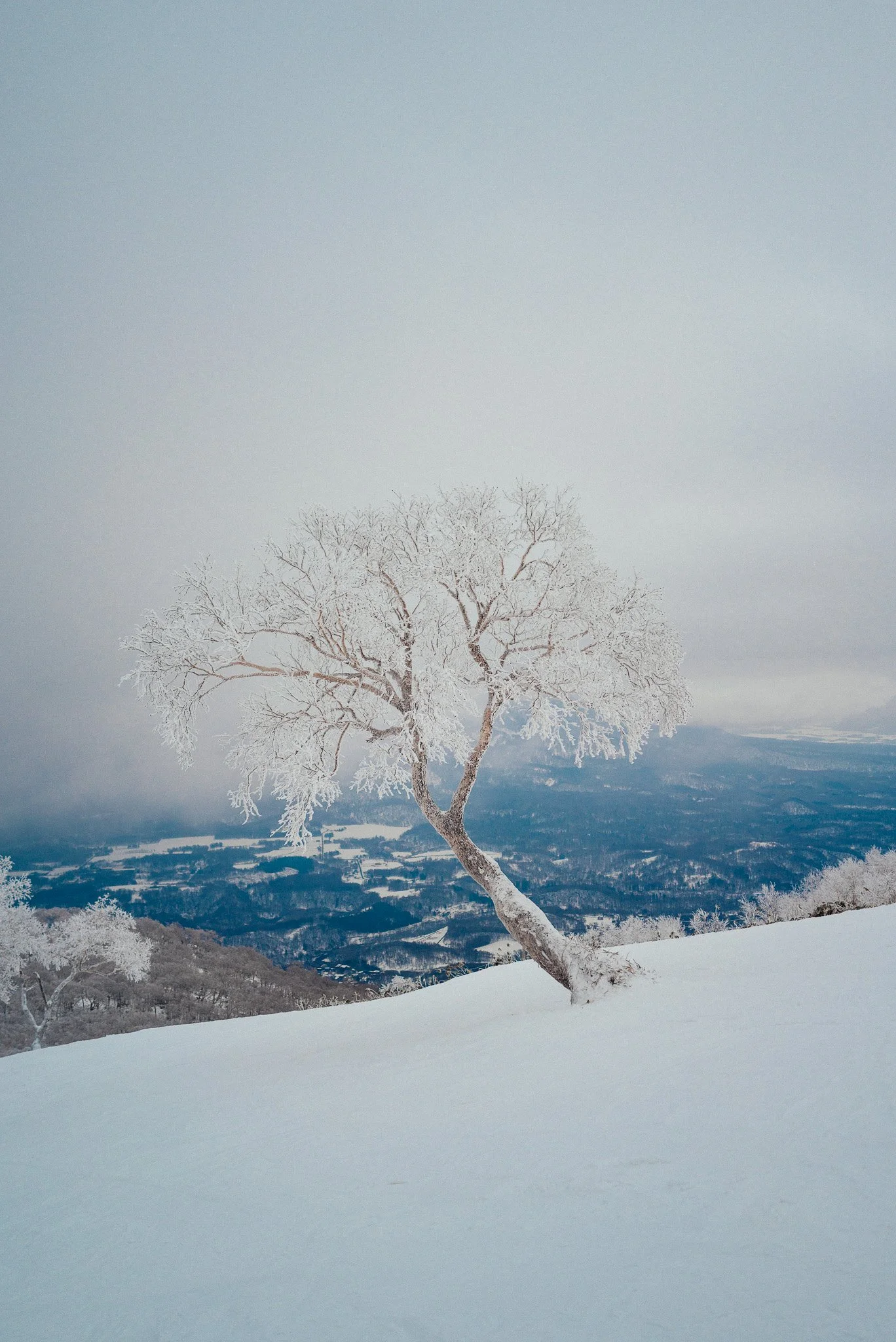White Hokkaido: A ski trip Into Japan’s Frozen North