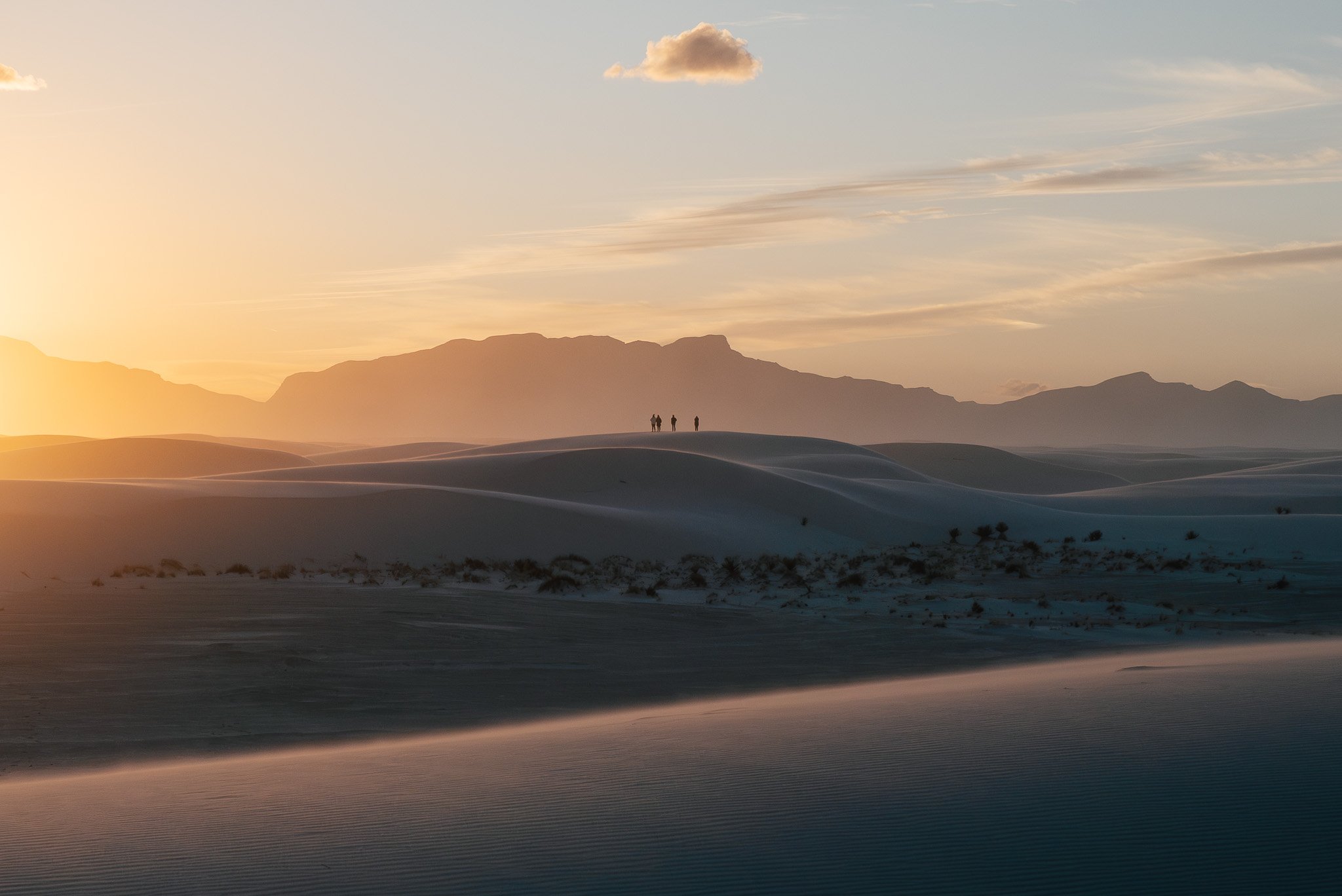 Scouting the Untamed Beauty of White Sands