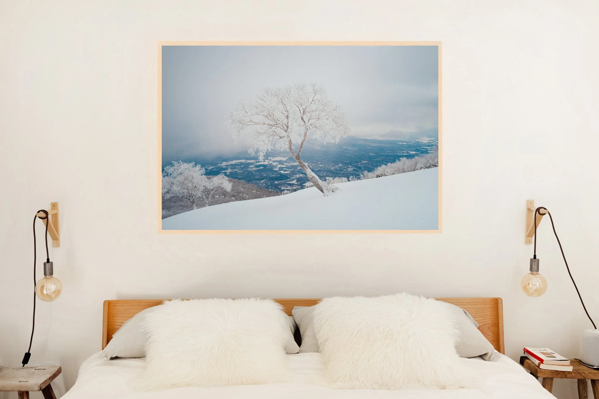 White-Hokkaido.jpg
