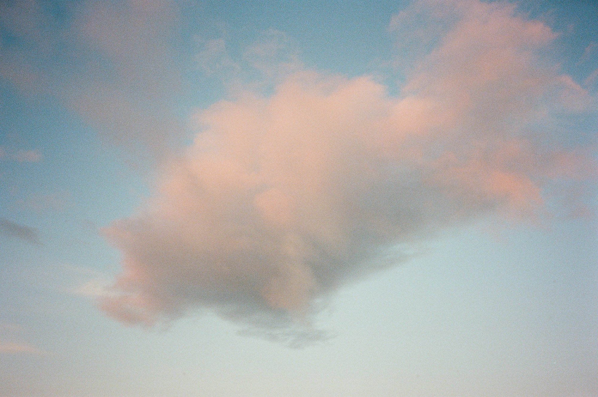 Rosy-Drift.jpg