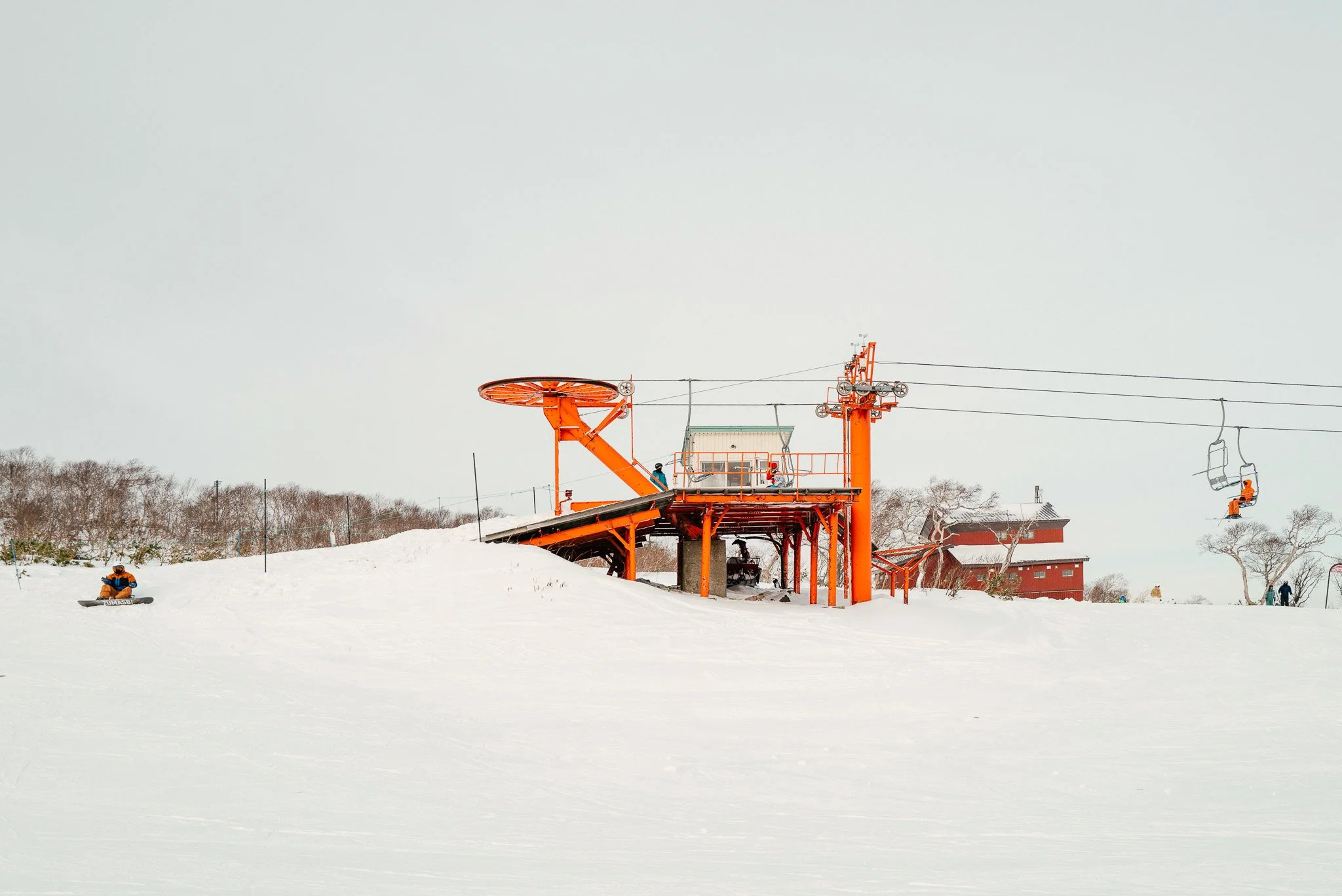 Orange Hokkaido