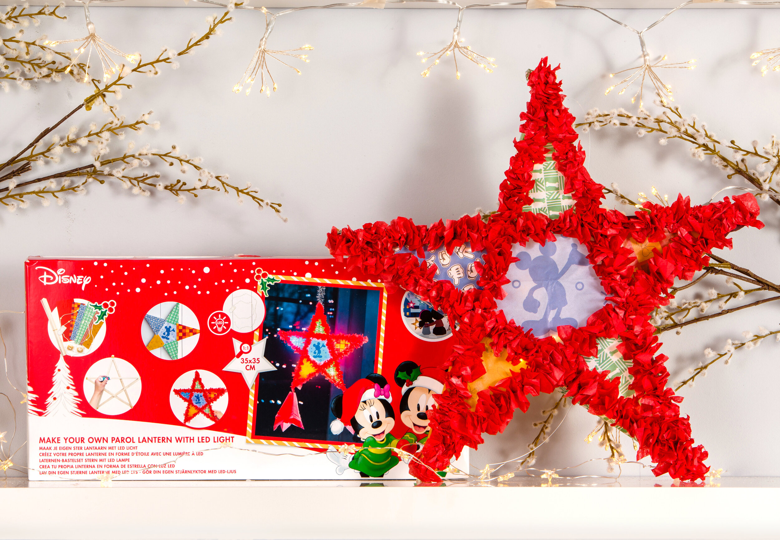 DisneyShelves-7.jpg