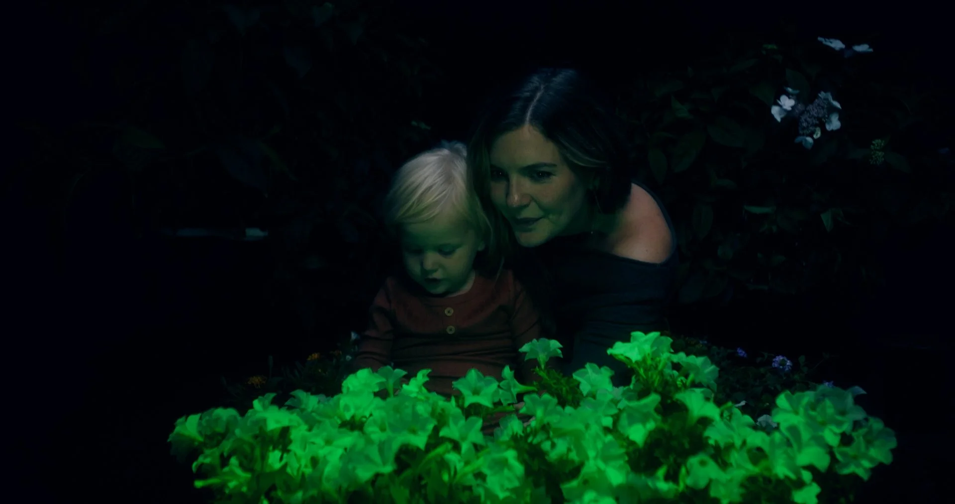 LightBio - Natures Nightlight