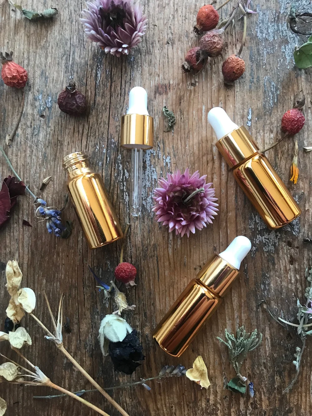 Immortelle Eye Serum — Prairieland Herbs