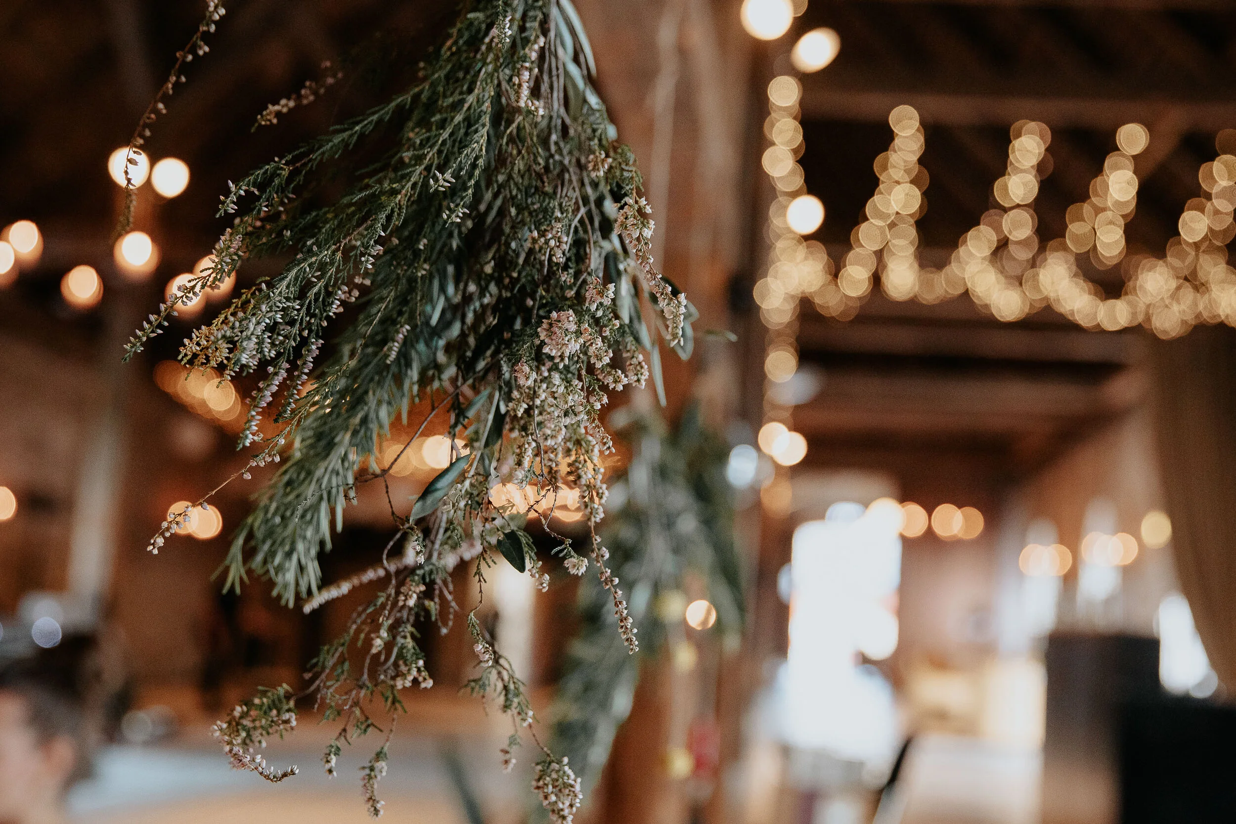 Jeanette-Daniel  (489).jpg