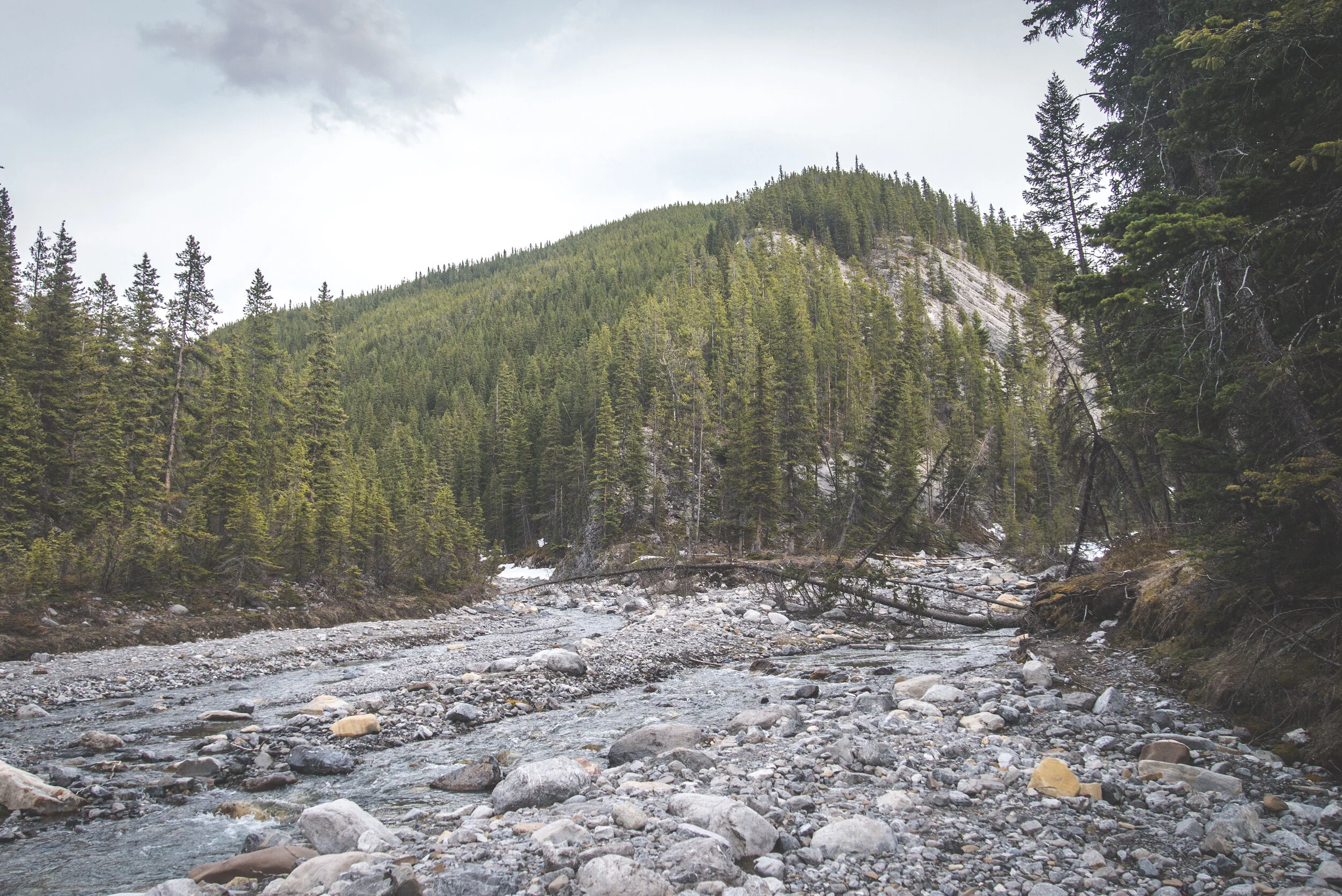 Porcupine Creek — Over The Peaks