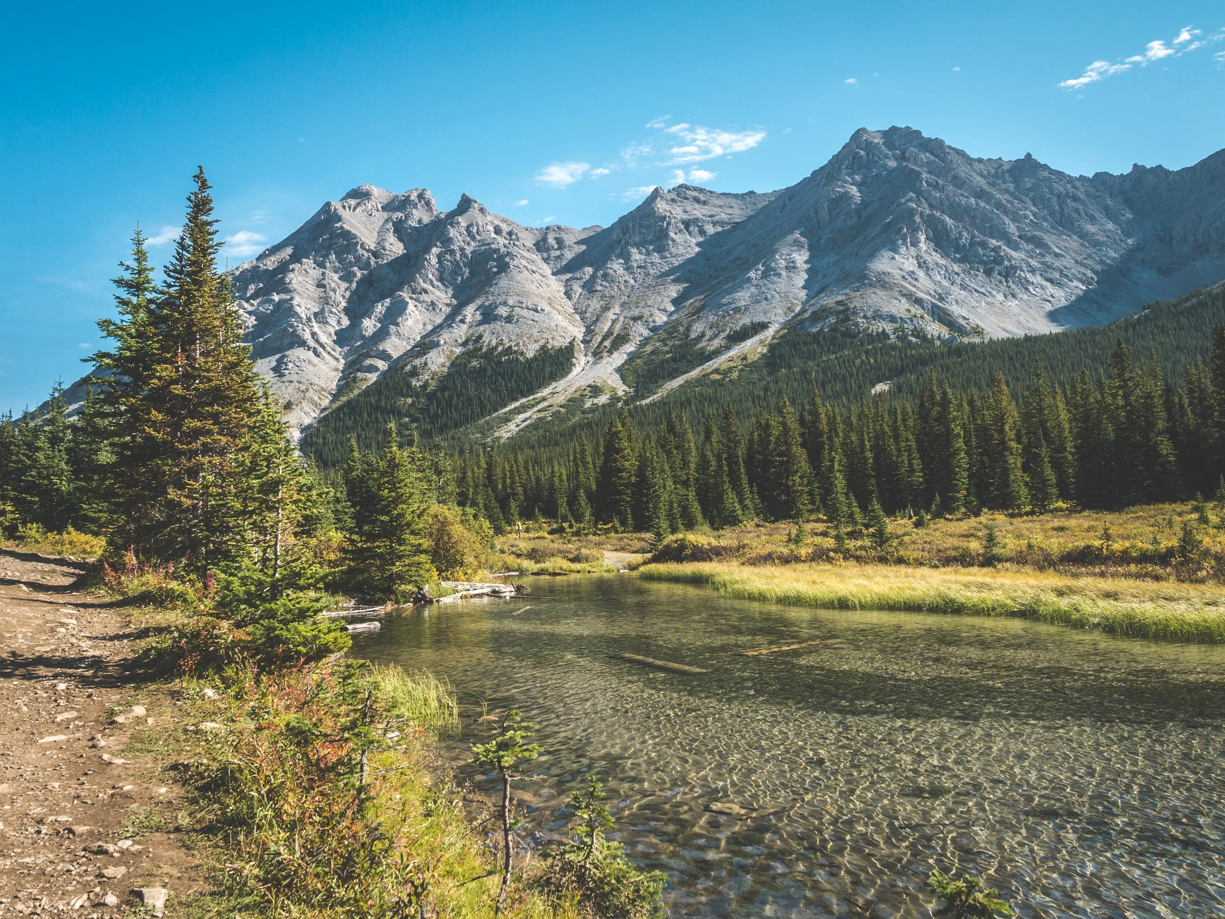 Piper Meadows — Over The Peaks