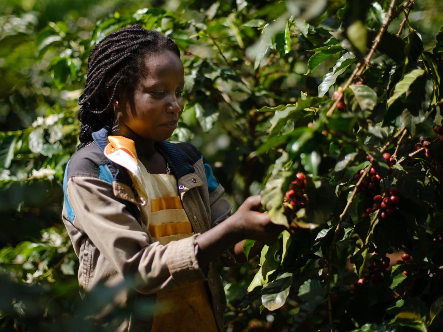 Thuura Women's Cooperative.jpeg