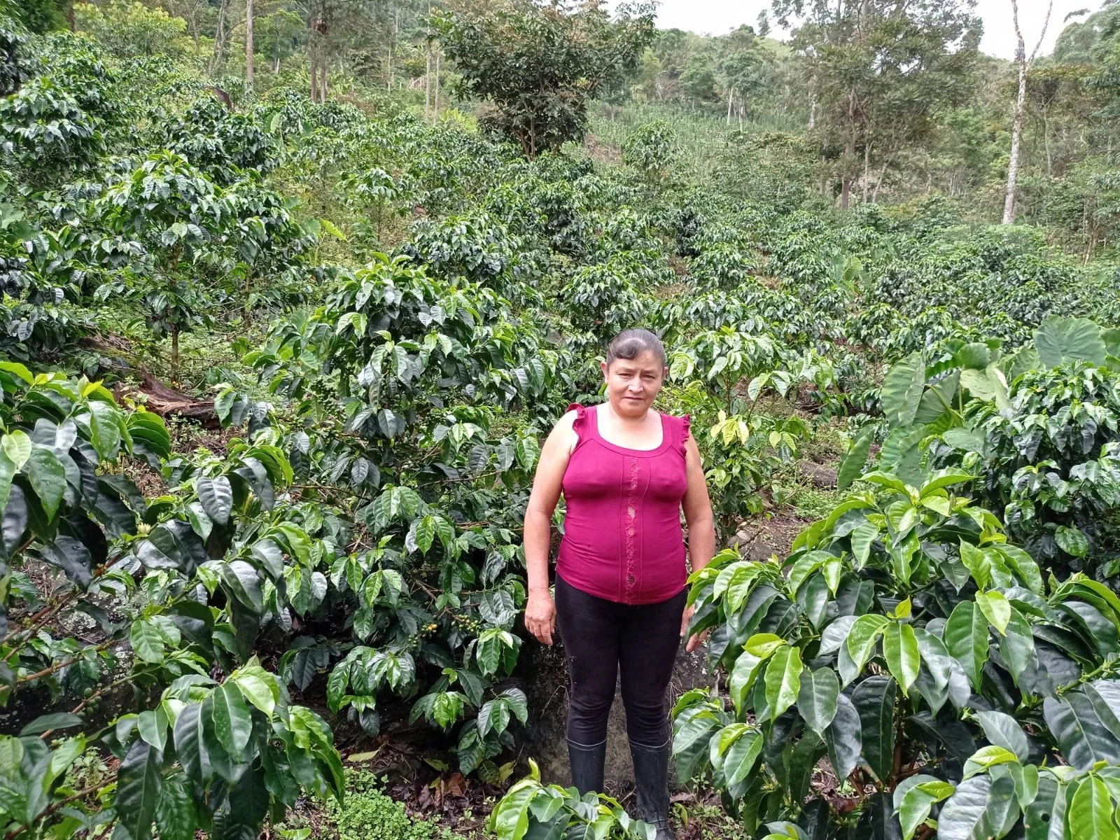 ROSA   MEGO  HUAMAN 3.jpg