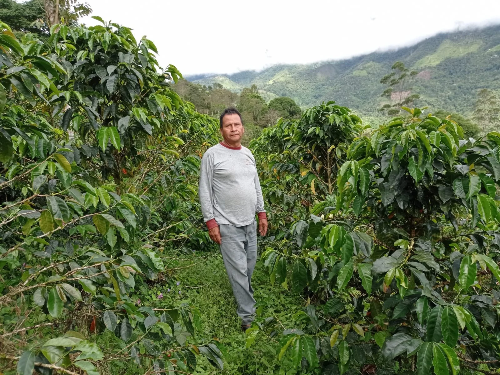 ROSA   MEGO  HUAMAN 8.jpg