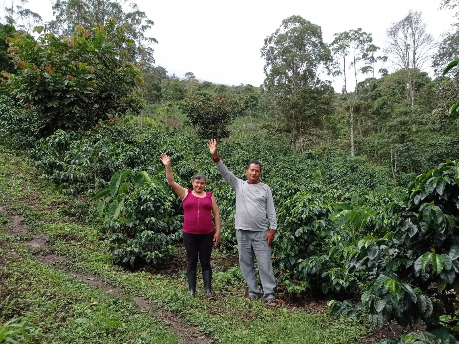 ROSA   MEGO  HUAMAN 6.jpg