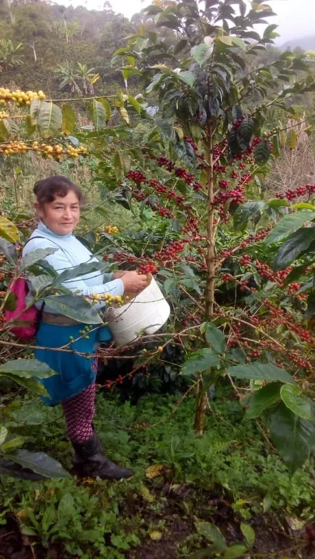 ROSA   MEGO  HUAMAN 4.jpg