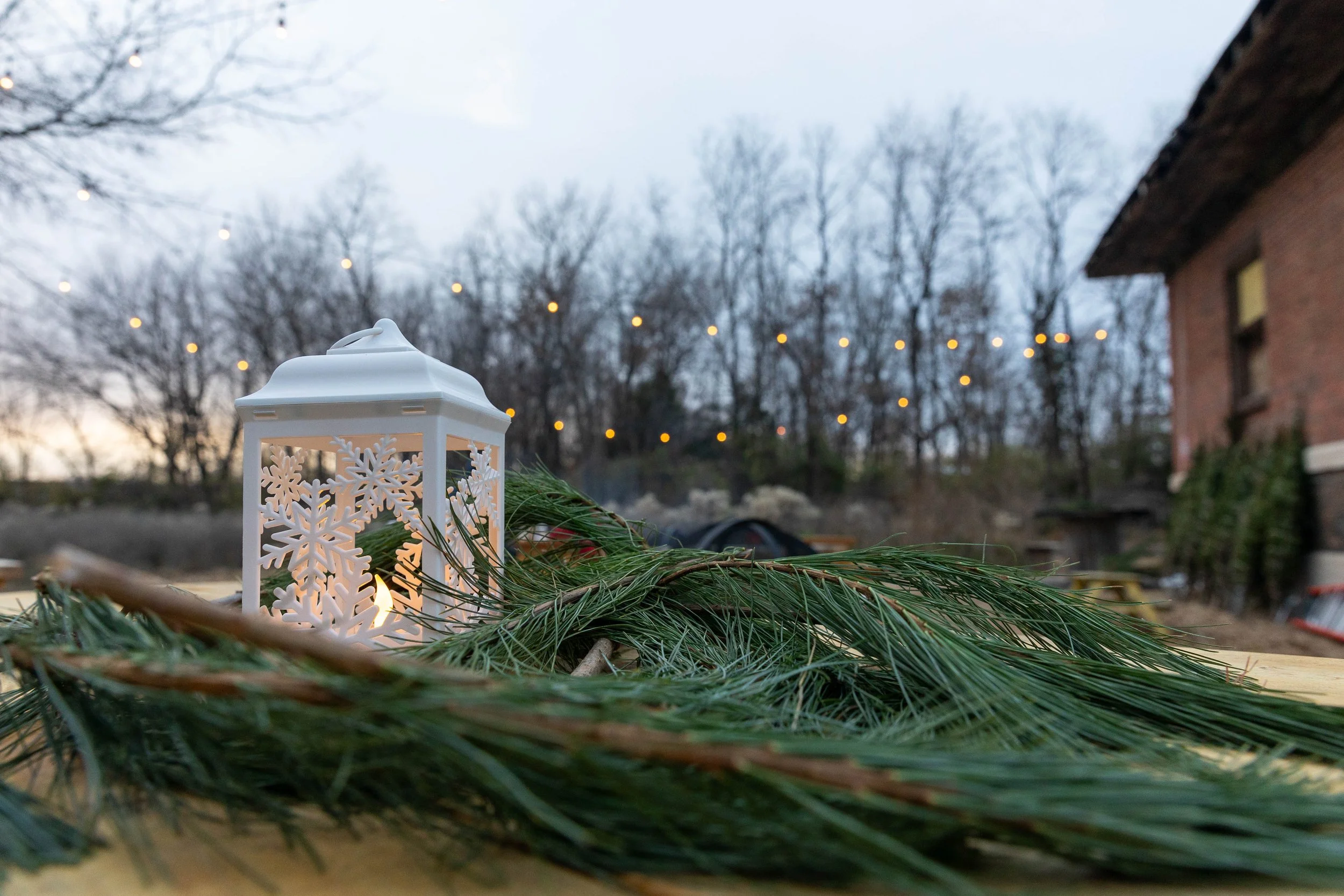 A white decorative lantern lays in a pile of pine branches. Behind it are holiday lights, a brick building, and trees.