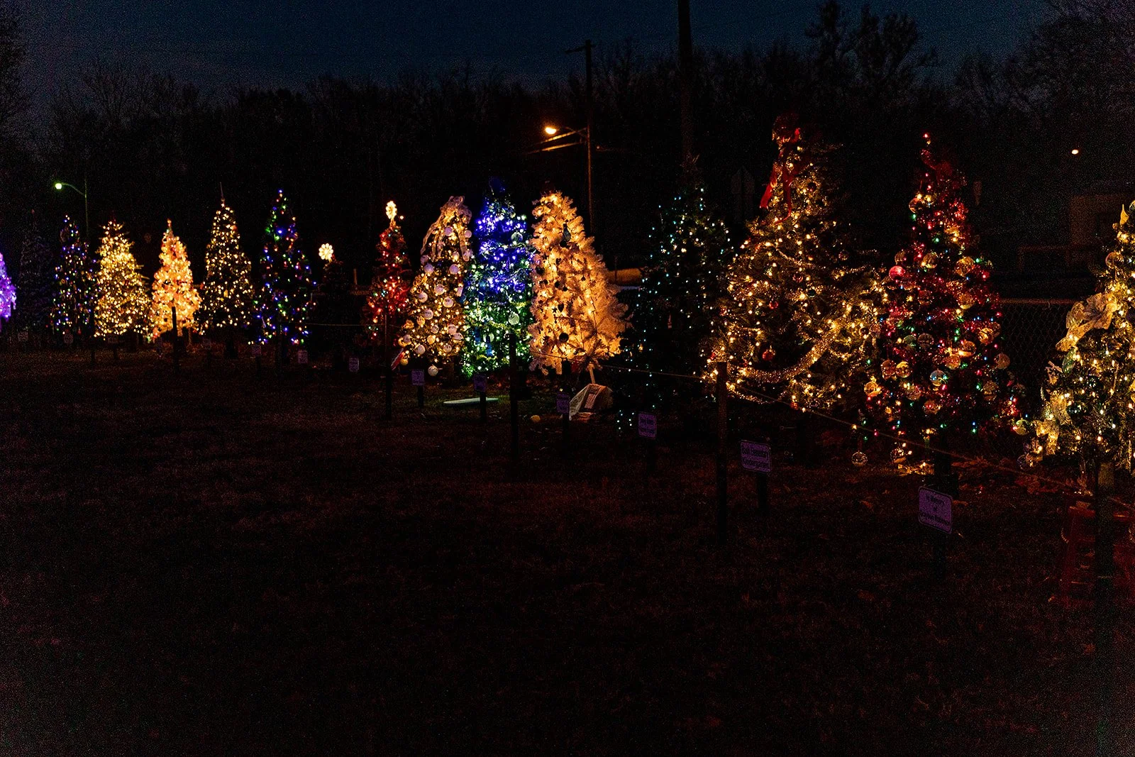An array of lighted holiday Christmas trees in a circle during Fulton's Festival of Lights.