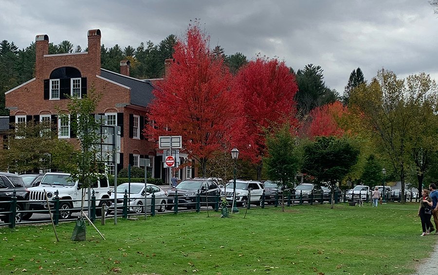 Fall Trees.jpg