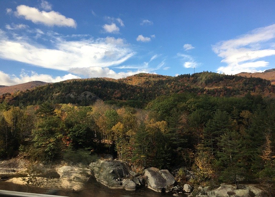 Fall Landscape.jpg
