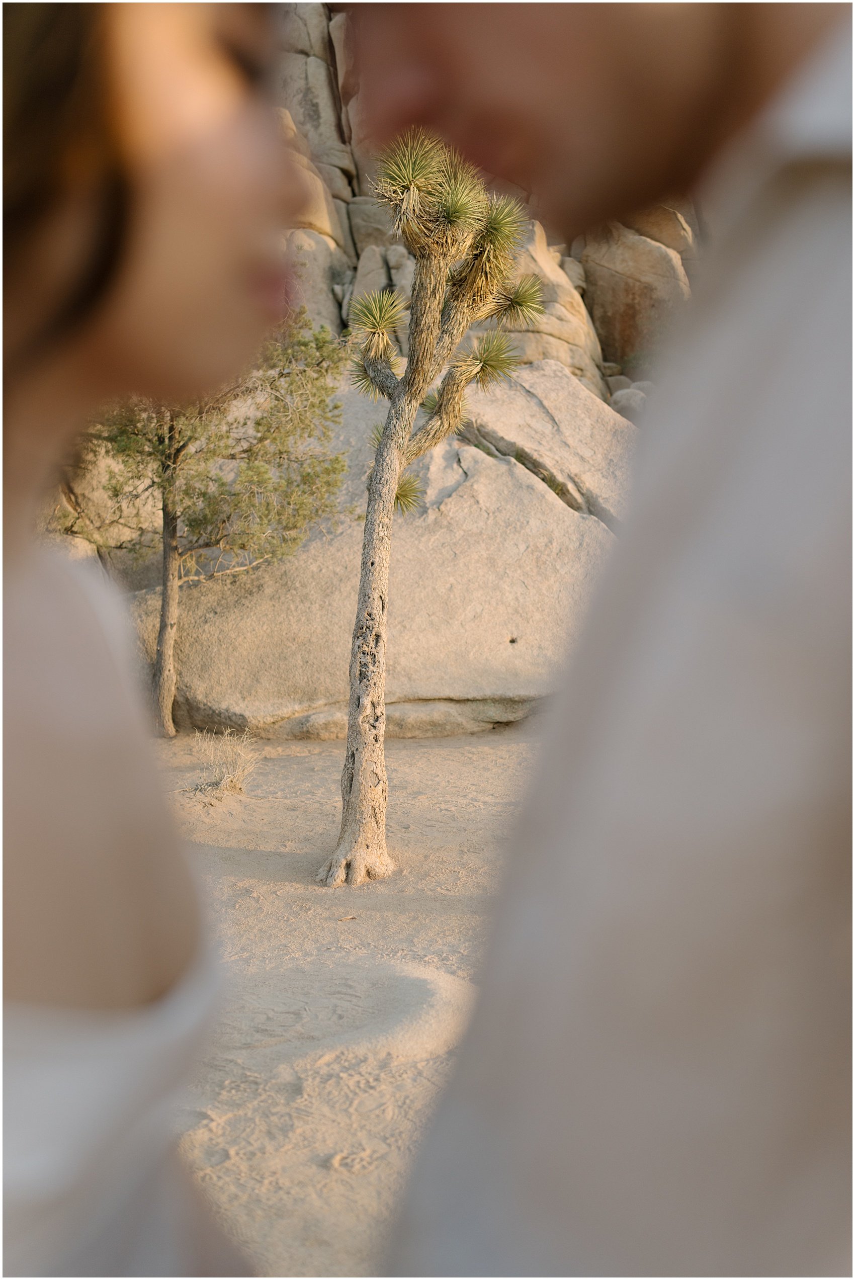 sunset-joshua-tree-engagement-session-jk.14.jpg